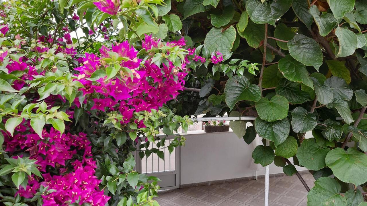 Studio Apartman Kornelija Лумбарда Екстериор снимка